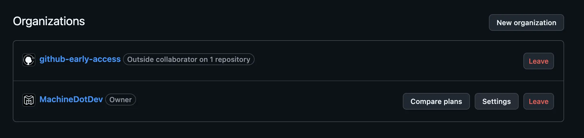 GitHub organization settings navigation